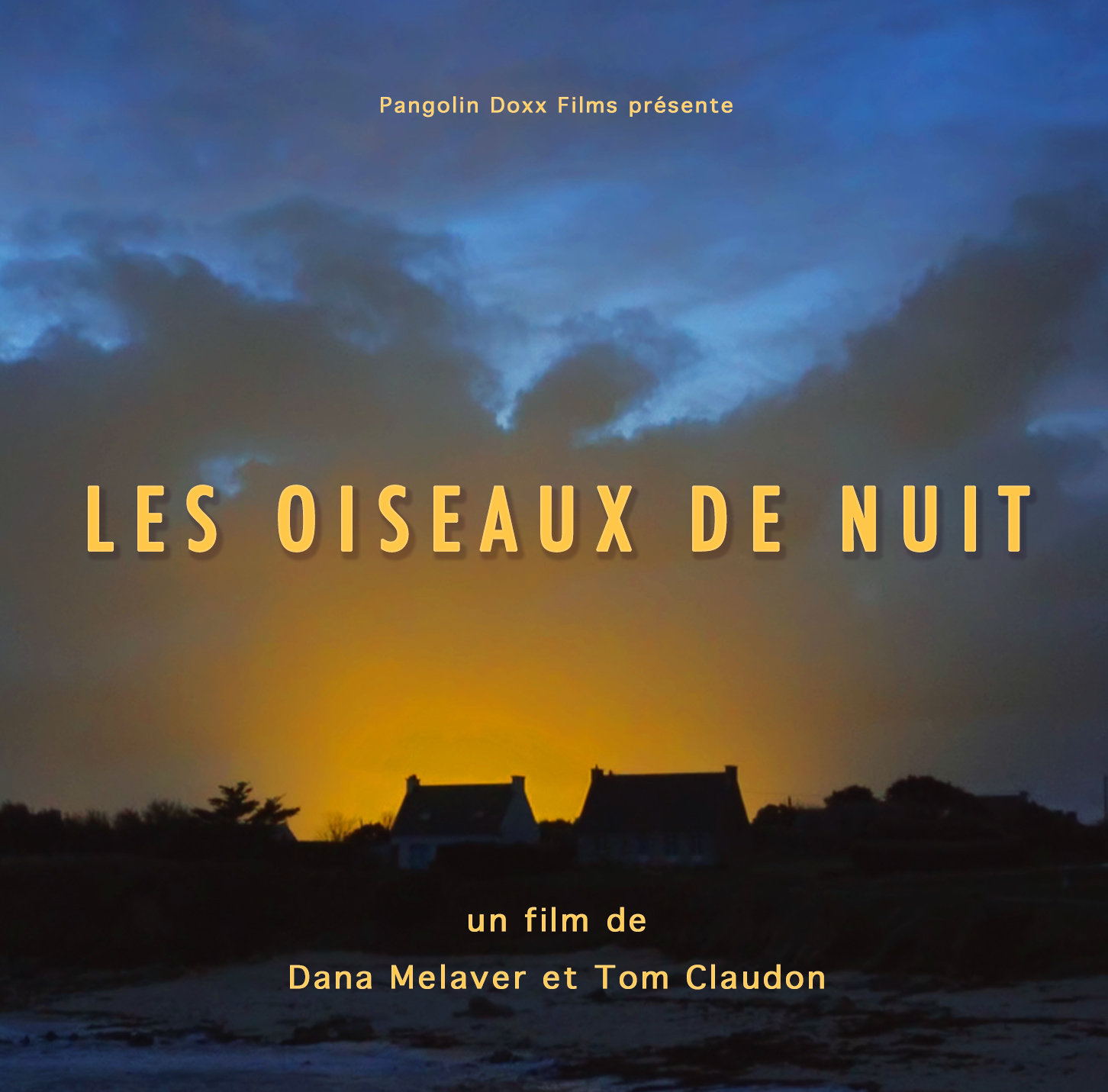 Les Oiseaux de nuit