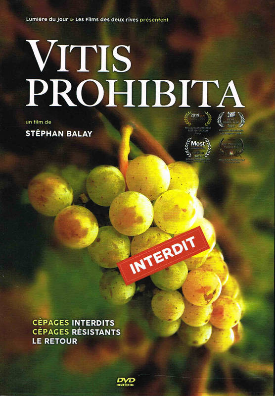 Vitis Prohibita